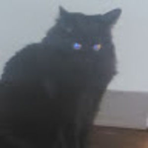 Meet your Posher, Marissa